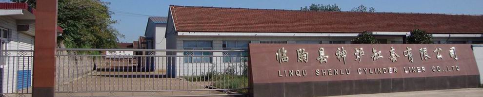 Linqu Shenlu Cylinder Liner Co., Ltd